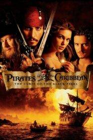 Pirates of the Caribbean 1 (2003) Hindi Dubbed