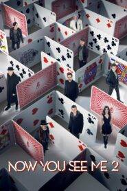 Now You See Me 2 (2016) Hindi Dubbed