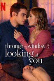 Through My Window 3: Looking at You (2024) Hindi Dubbed