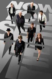 Now You See Me (2013) Hindi Dubbed